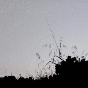 KEEP IT KILLA (feat. Drip Lich) (Explicit)