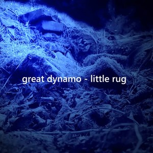 Little Rug