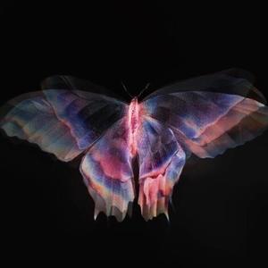 ATOMIC TILL DEATH (intro) (Explicit)