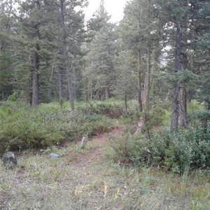 where i'm at (feat. ilyjaimie) (Explicit)