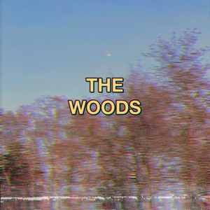 The Woods (Explicit)