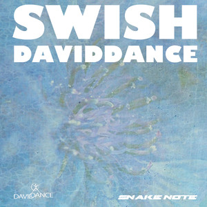 Swish (Original Mix)
