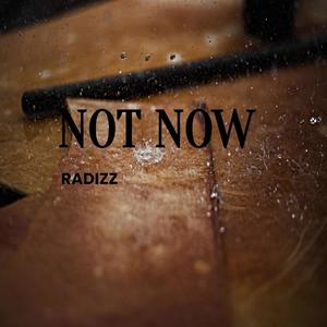 Not Now (feat. RaDizz)