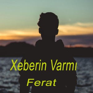 Xeberin Varmı