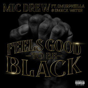 Feels Good to Be Black (Explicit)