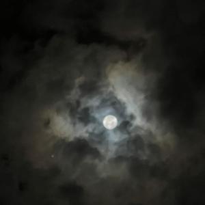 ijustlanded (Explicit)