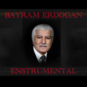 Bayram Erdoğan Ensturmental