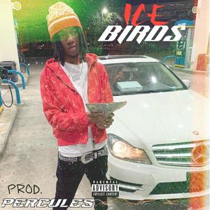 Like Me (feat. Icebirds) (Explicit)