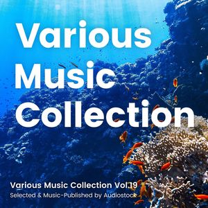 Various Music Collection Vol.19 -Selected & Music-Published by Audiostock-