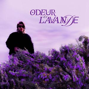 ODEUR DE LAVANDE