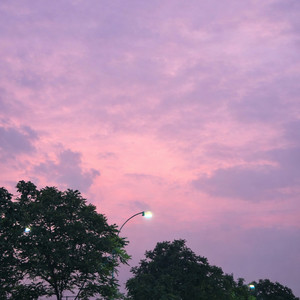 Within