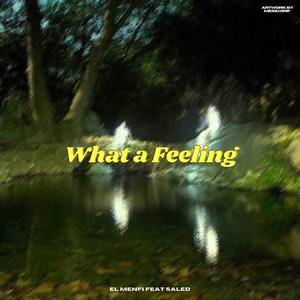 What a feeling (feat. El menfi) (Explicit)