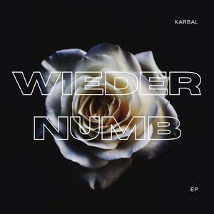 WIEDER NUMB (Explicit)