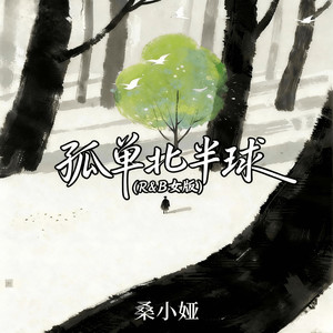 孤单北半球 (R&B女版)