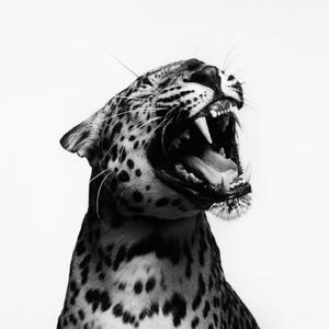 Oxymore (feat. WINT33R) (Explicit)