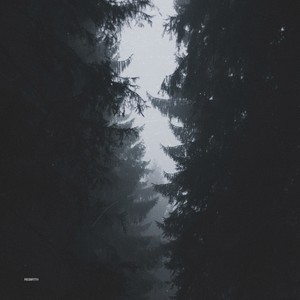 Love and Loss // Rebirth