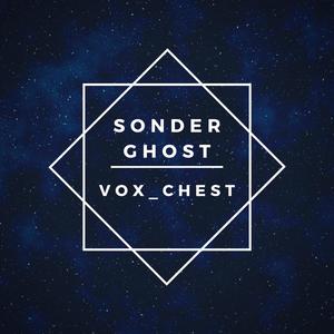 vox_chest