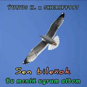 Bilenok (feat. Yunus.H & Sheriff997) [Explicit]