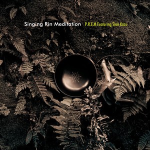 Drone (Being In Itself)