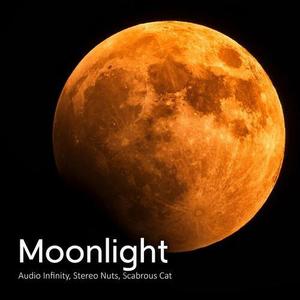 Moonlight