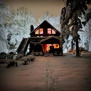 Westward Leaning (feat. The Classic Brown, Ete AhPing, Matt DiVenti, Brian Mietz & Young Statues)