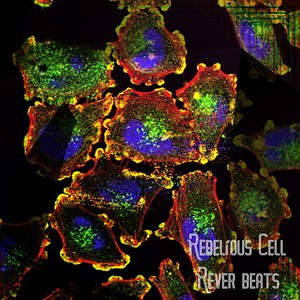 Rebelious Cell