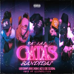 Pa' las gatas bandidas (feat. Neon, AK23, CRK the goat & El Chema) (Explicit)