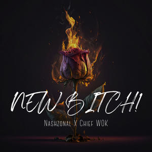 NEW *****! (feat. CHIEF WOK) [Original Version] [Explicit]