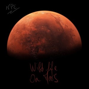 Wild Life on Mars
