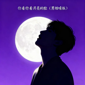 你看你看月亮的脸-大头钉