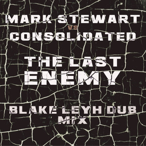 The Last Enemy (Blake Leyh Dub Mix)