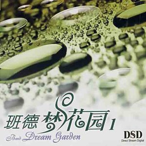 花好月圆夜封面