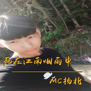 死在江南烟雨中