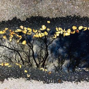 Off In The Distance (feat. Vulkari64 & Adryelle)