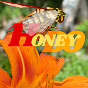 Honeydo