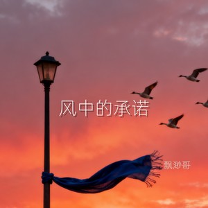 风中的承诺
