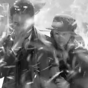 写给鸽子的七八年