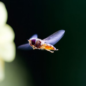 海阔天空 (秒针版)