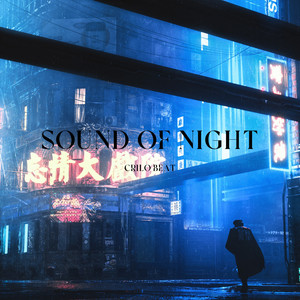 Sound Of Night