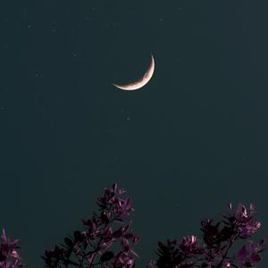 Better Days (feat. White Keys)