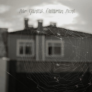 Bir Günlük Öldürün Beni