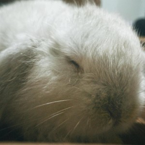 ต้องโทษใครที่ใจไม่รักดี