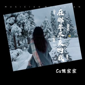 在那年冬天的我 (纯音乐)