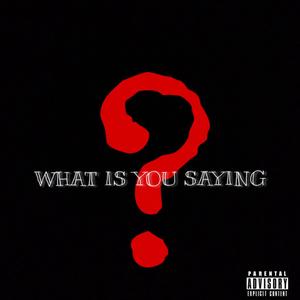 What Is You Saying (Explicit)