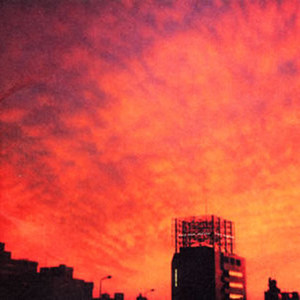 砂のコレクション