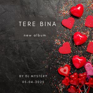 Tere Bina (Explicit)