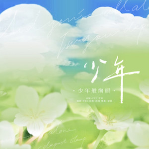 少年般绚丽