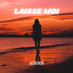 Laisse moi