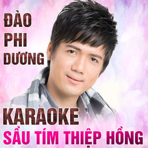 Sầu tím thiệp hồng - Đào Phi Dương (Instrumental)