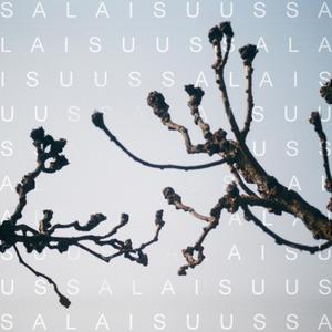 Salaisuus